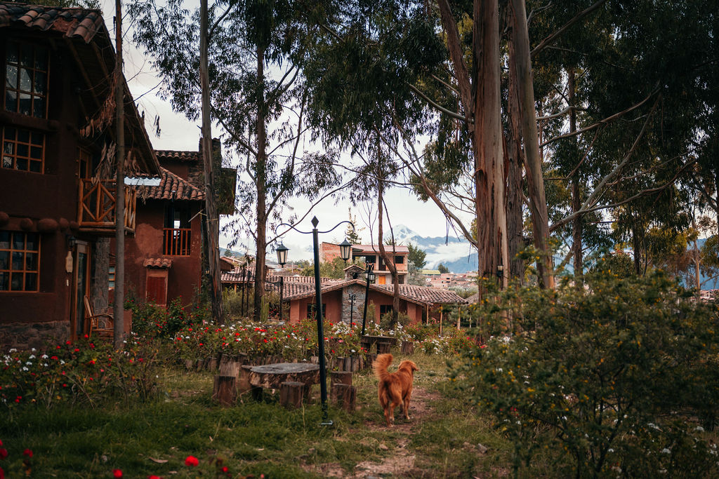 Refugio