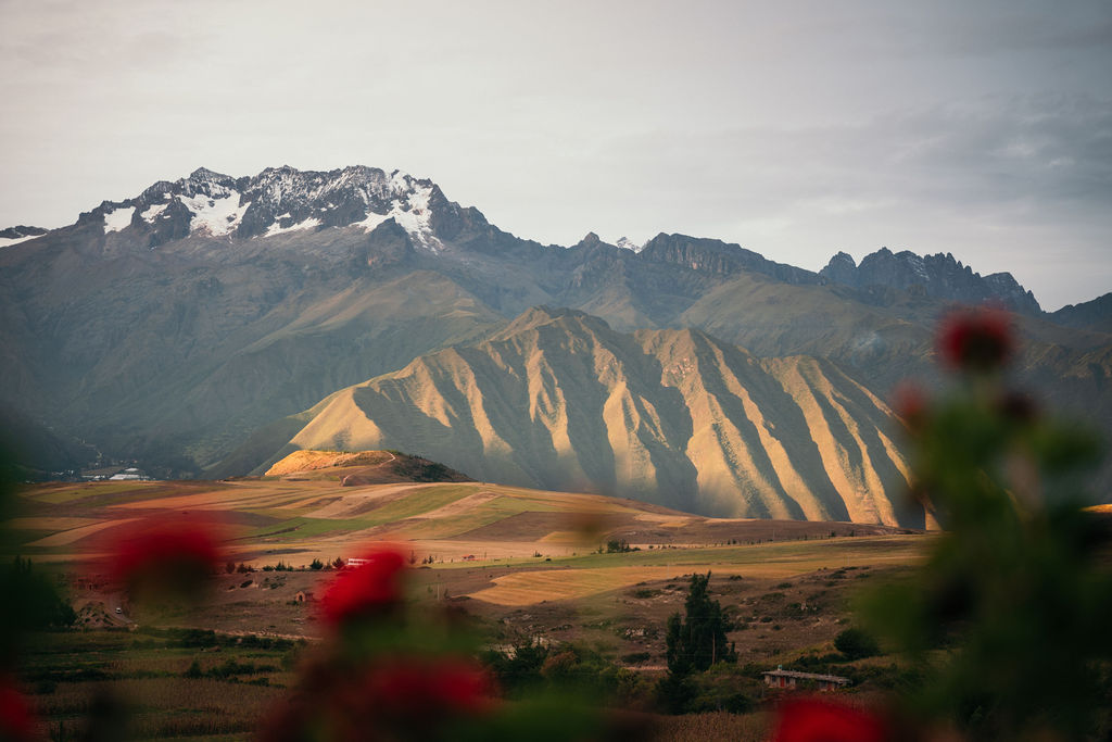 Refugio